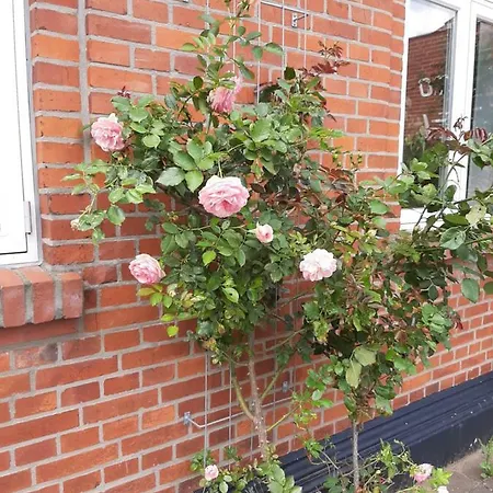 Gredstedbro Hotel Hotel *